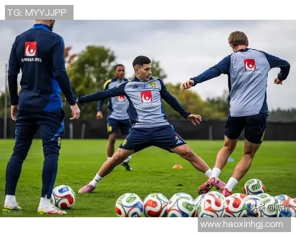 德国与瑞典精彩对决实况录像回顾及赛后分析