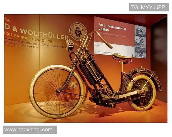 希尔德布兰的传奇人生与艺术成就探秘之旅