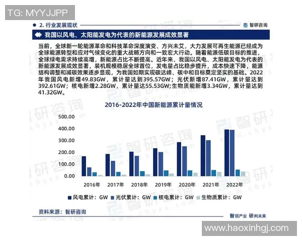 赖斯的外交智慧与全球影响力分析：从历史到未来的深度解读